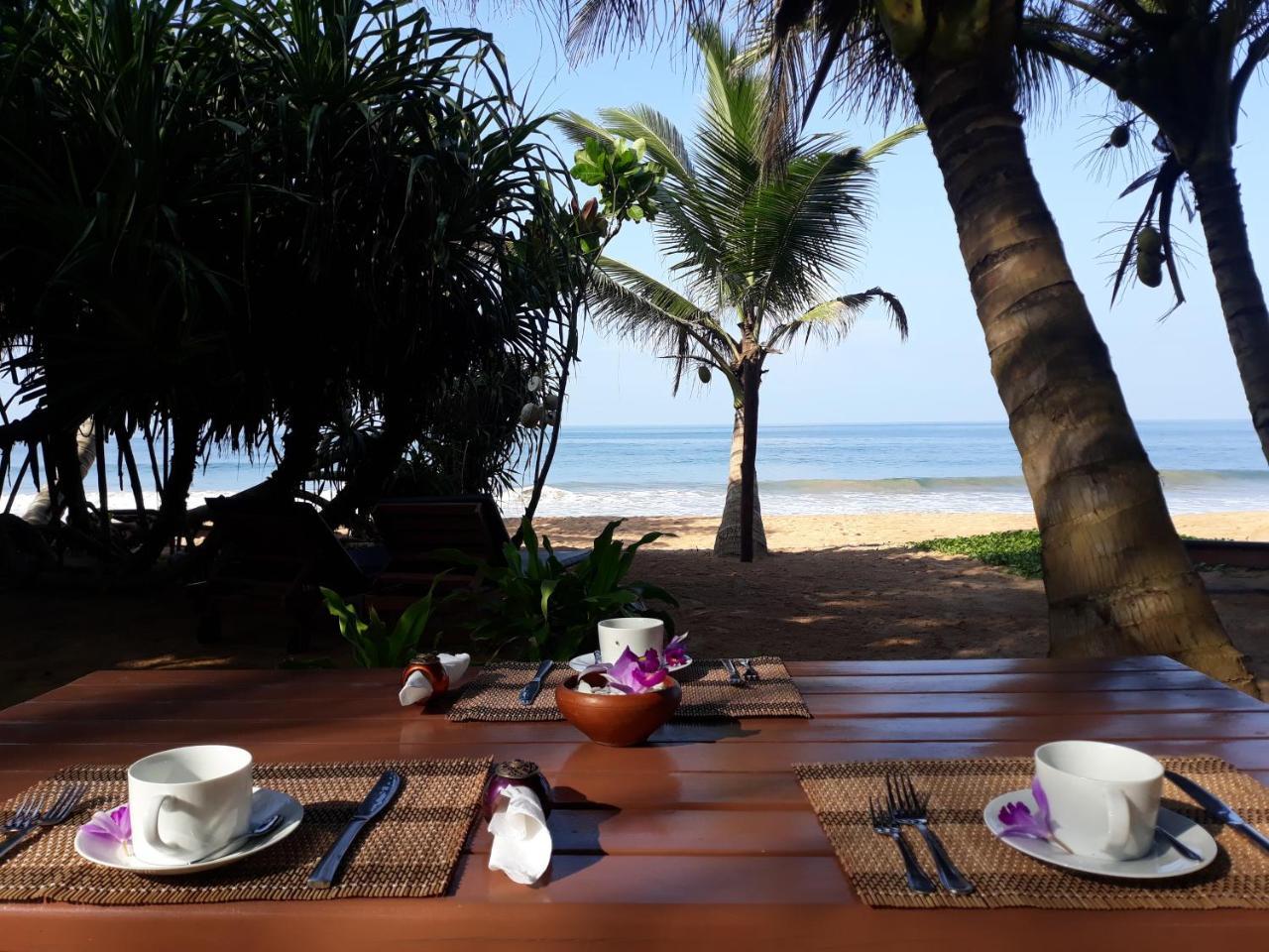 Arcade Beach Hotel Bentota Dış mekan fotoğraf